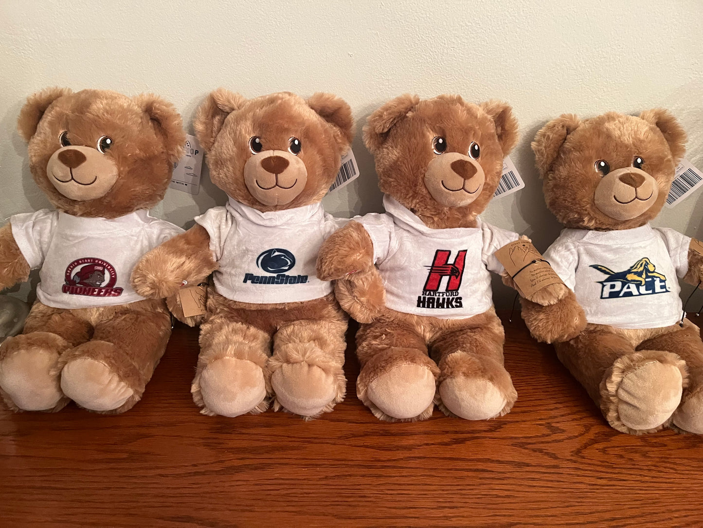 College Teddy Bear