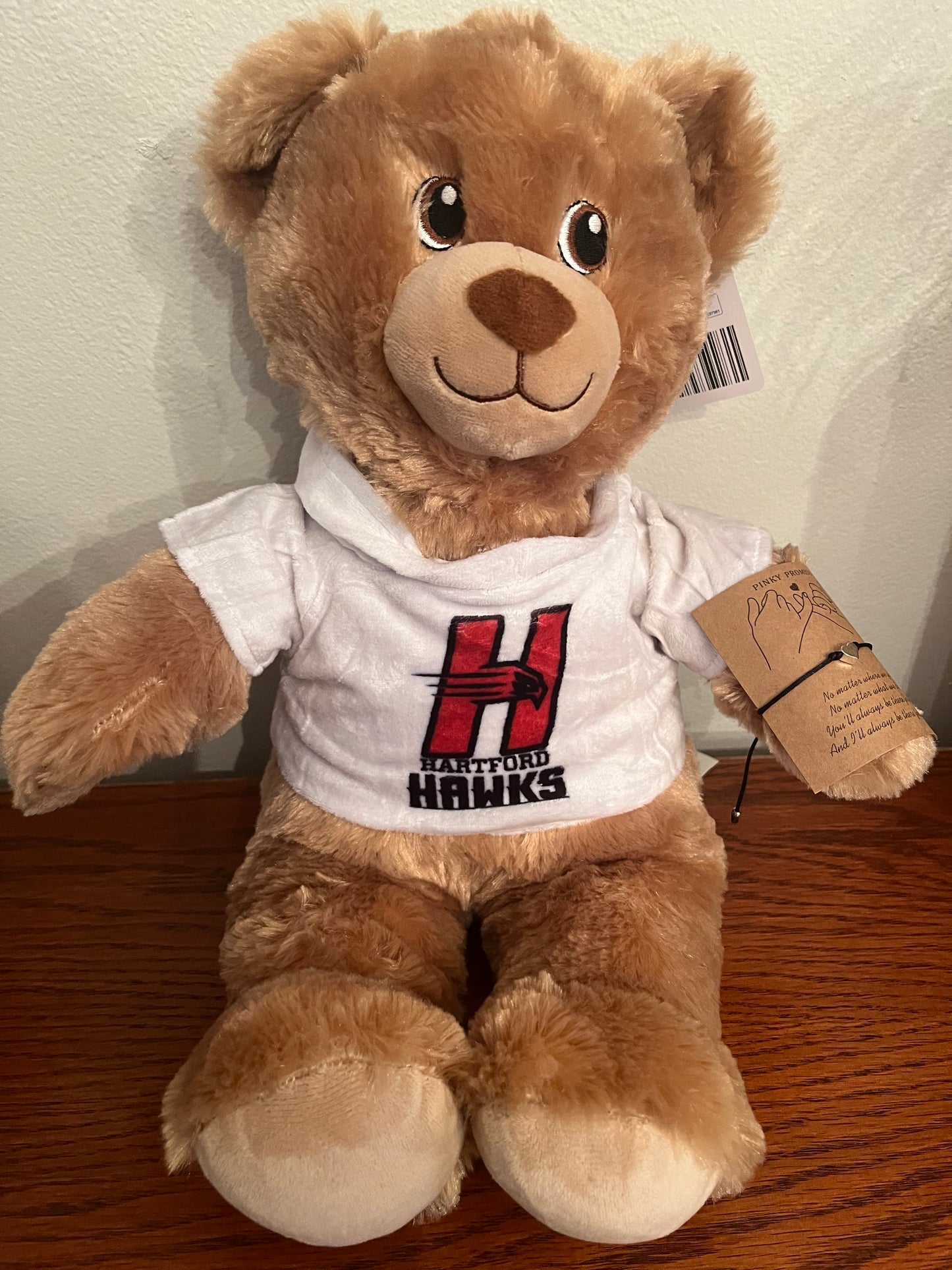 College Teddy Bear