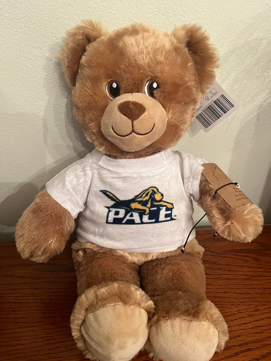 College Teddy Bear