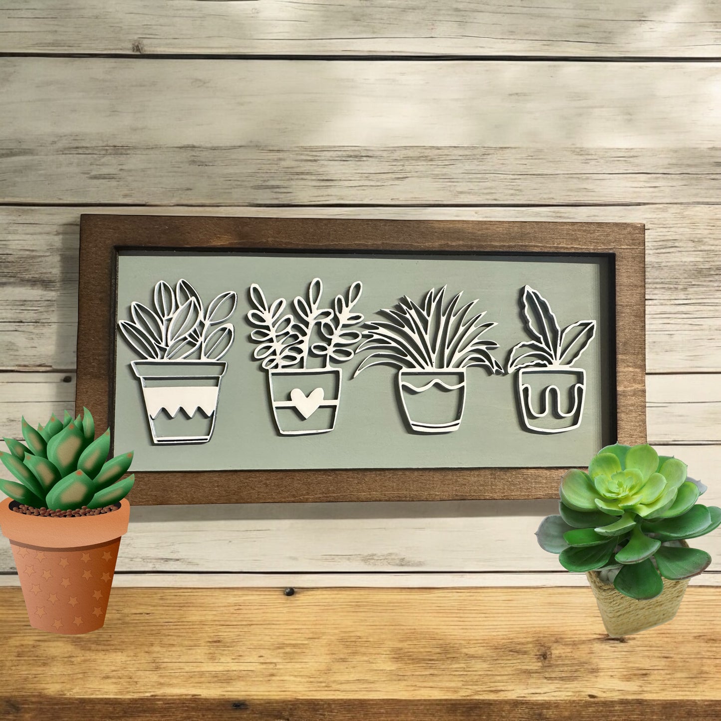 Succulents in a Frame