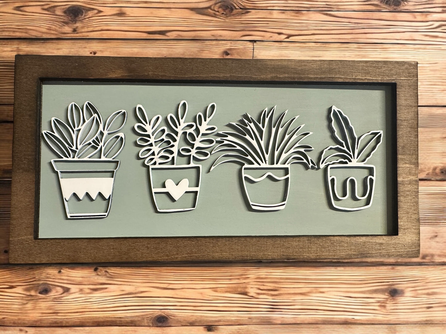 Succulents in a Frame