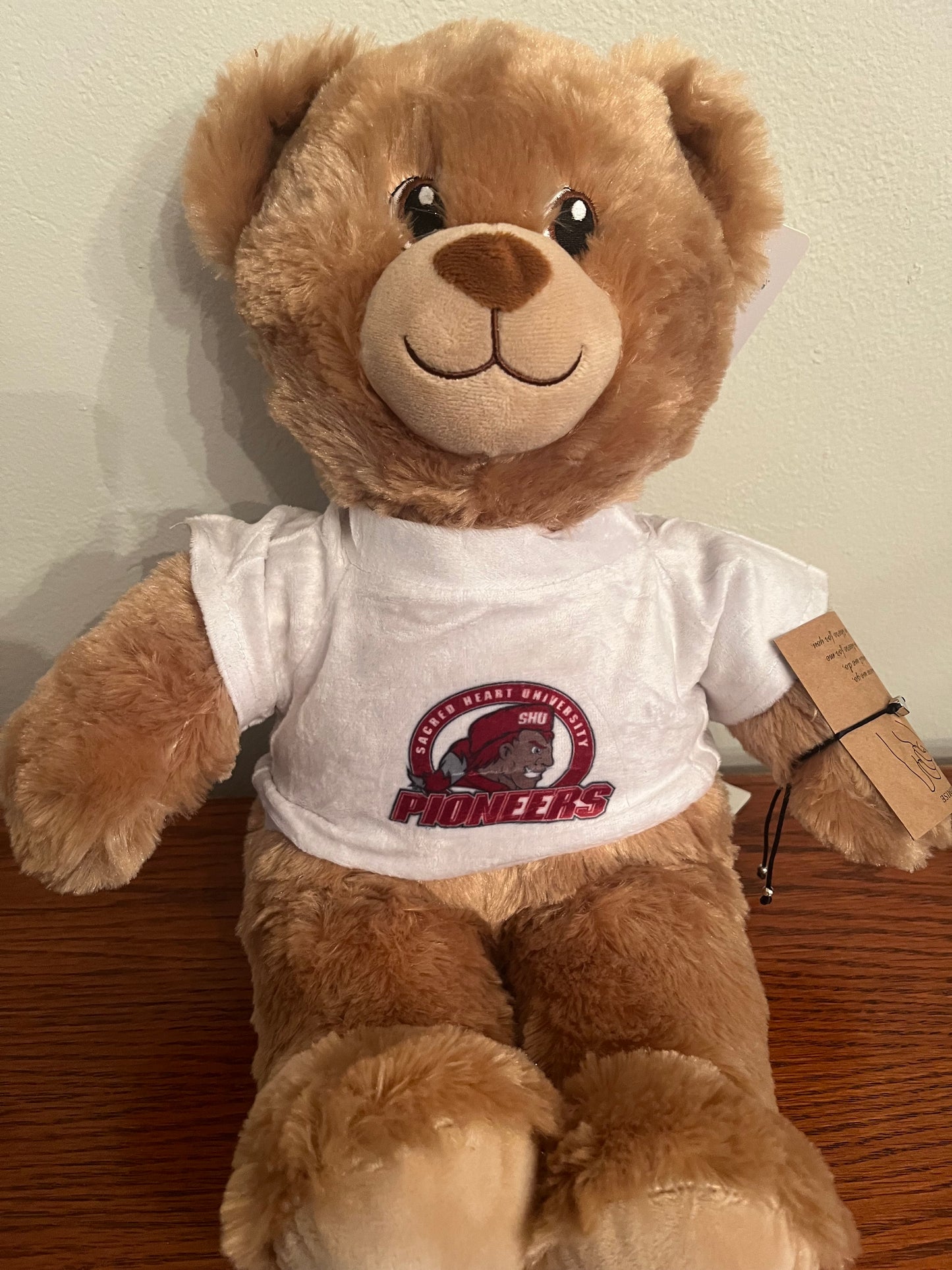 College Teddy Bear
