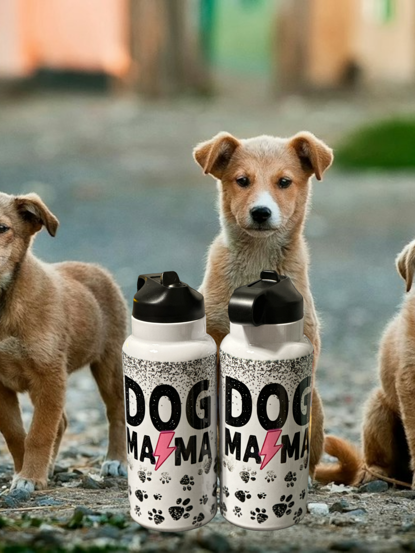 30 oz Water Bottles