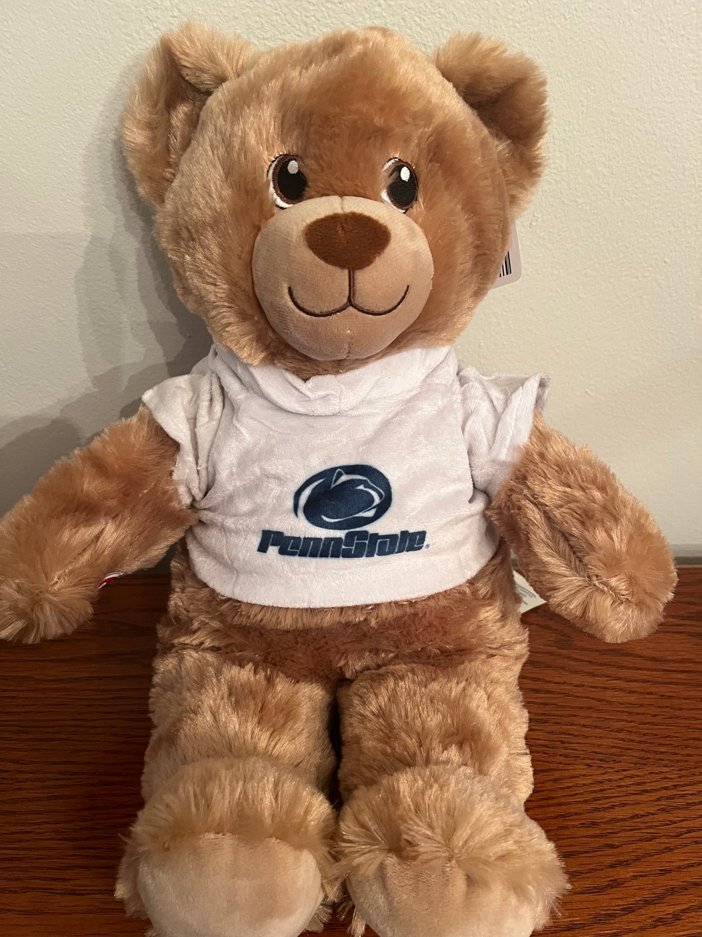 College Teddy Bear
